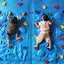 Cosmo Go Klettergriffe Outdoor 10/25PCS Kinder