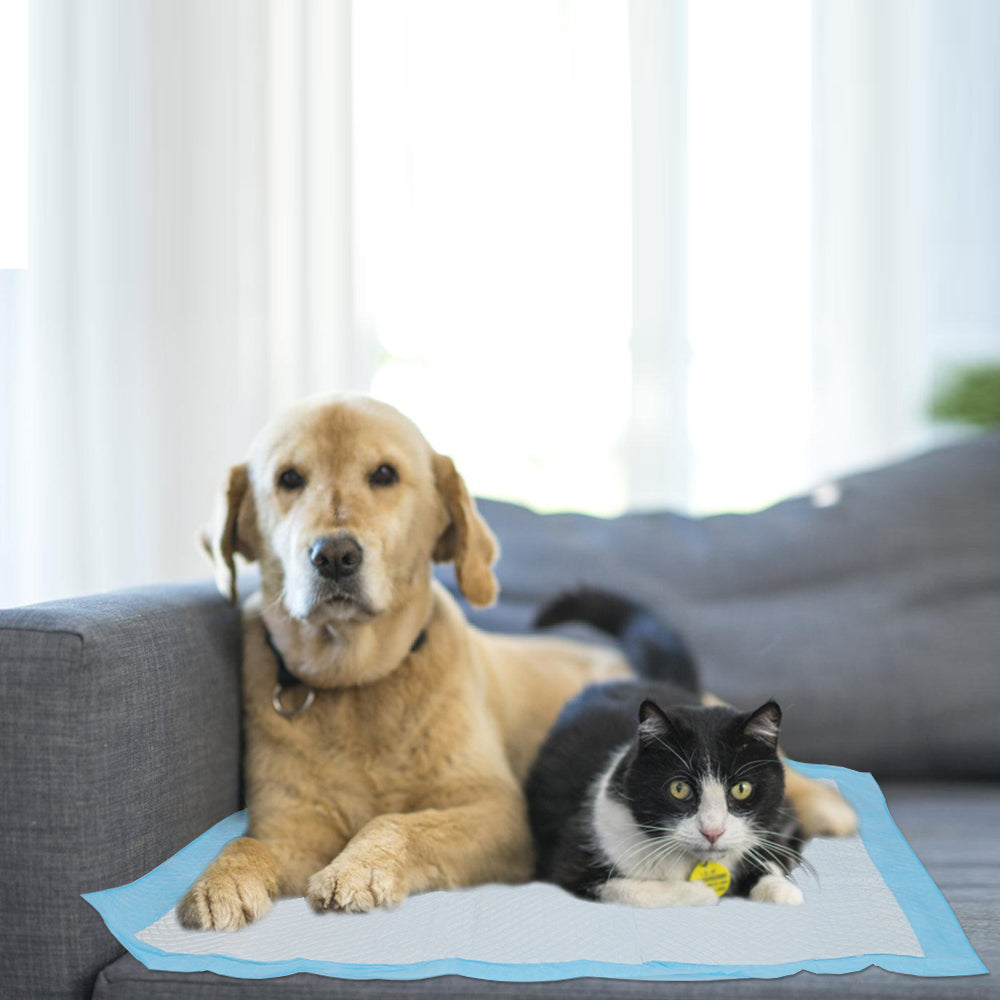 Cosmo Go Welpenunterlage Welpen Hygieneunterlagen