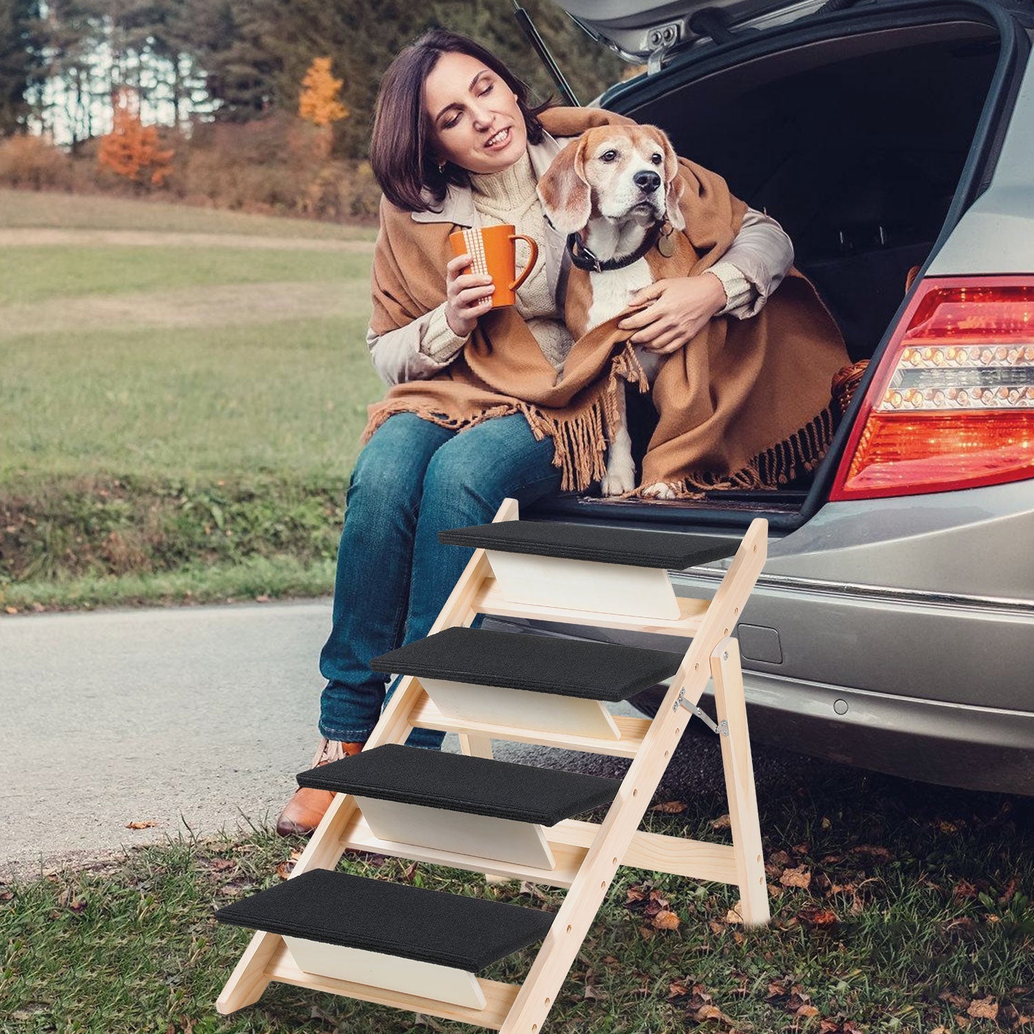 Cosmo Go Hundetreppe 2 in 1 Hunderampe Klappbare 4-Stufig Belastung 80kg