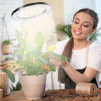 Cosmo Go LED Pflanzenlampe 13W  LED Vollspektrum