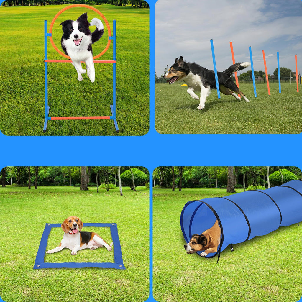 Cosmo Go Agility Set Hunde Hundetraining zubehör für Hunde