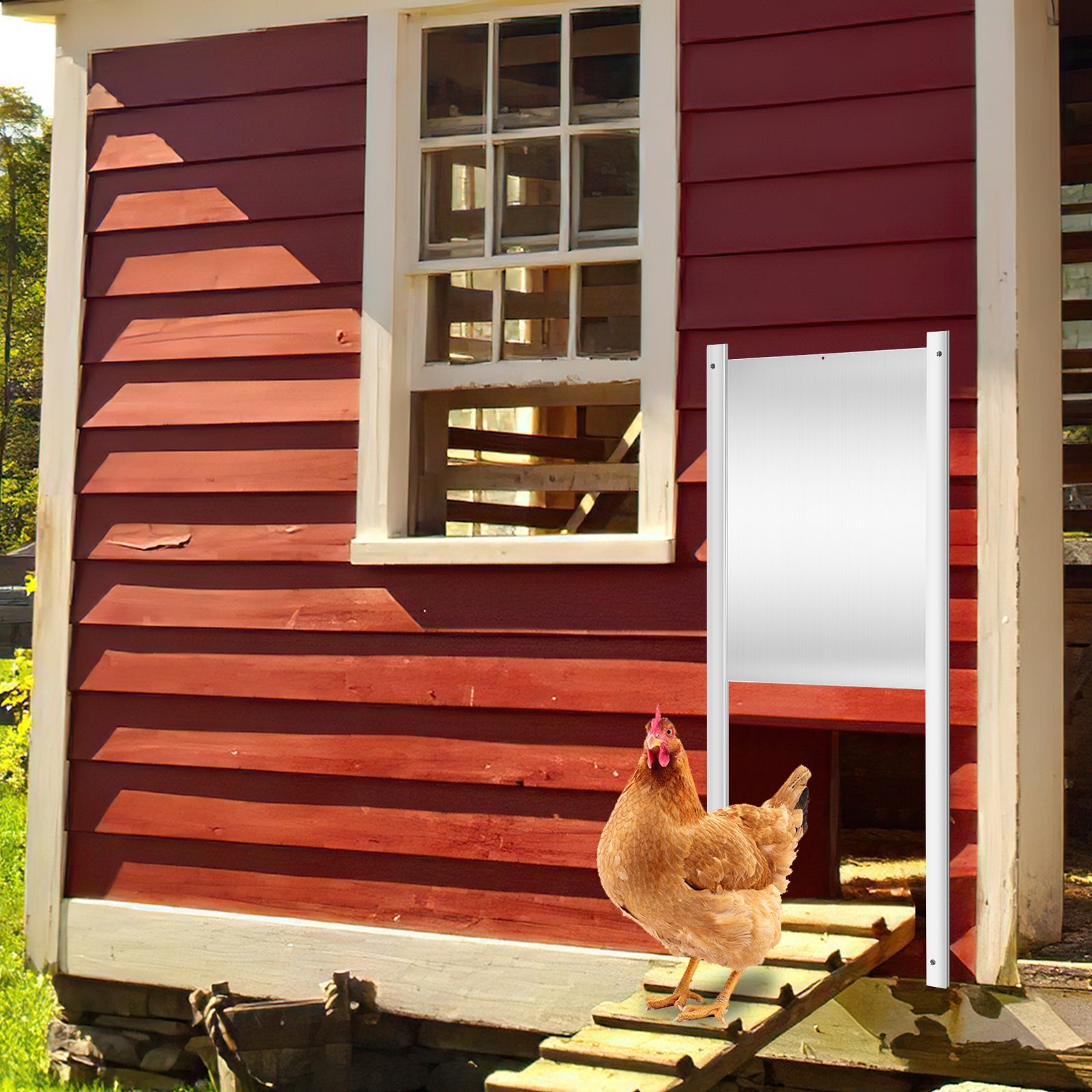 Cosmo Go Automatische Hühnertür mit Lichtsensor und Zeitsteuerung