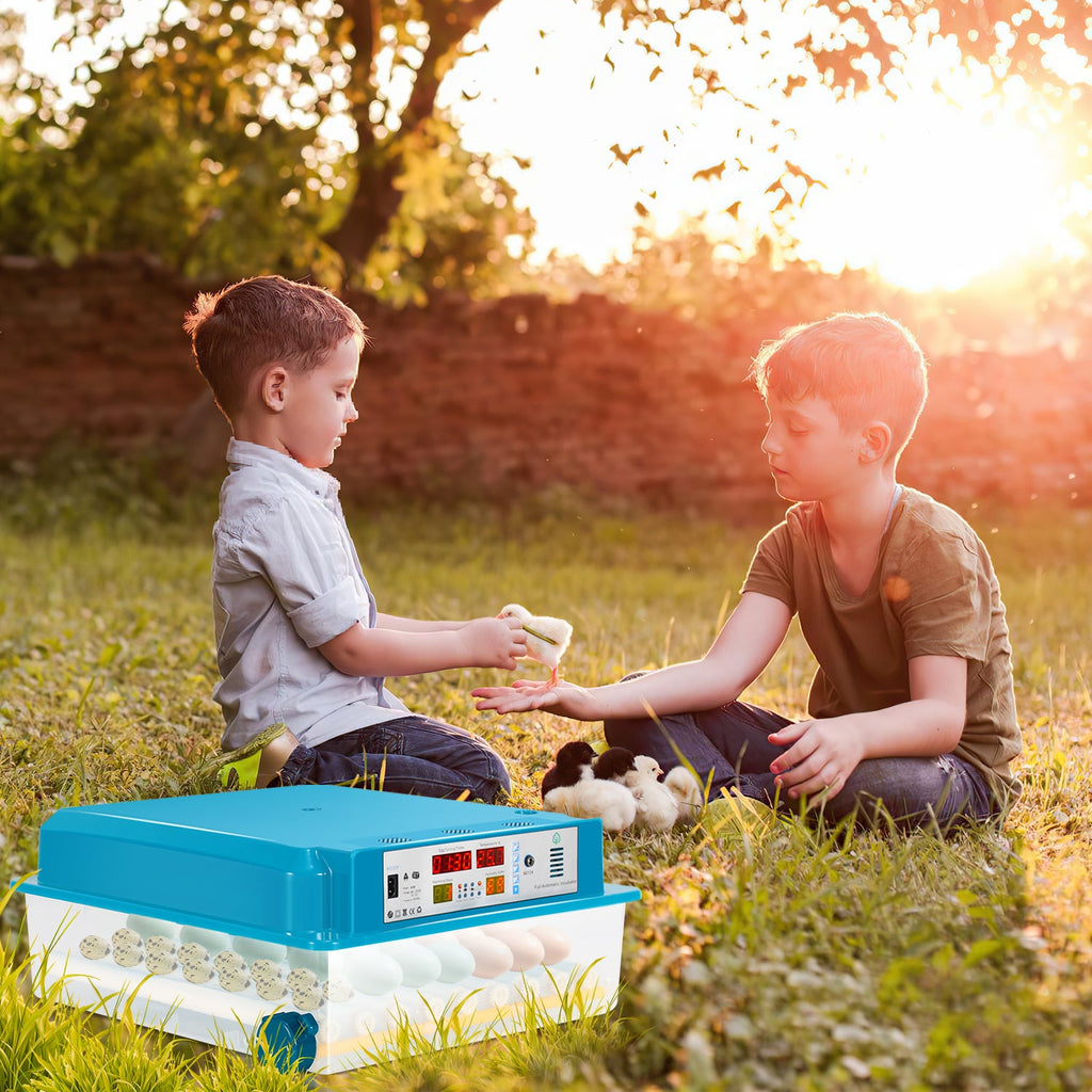 Cosmo Go Brutautomat Vollautomatisch Inkubator für Hühner 64 Eier