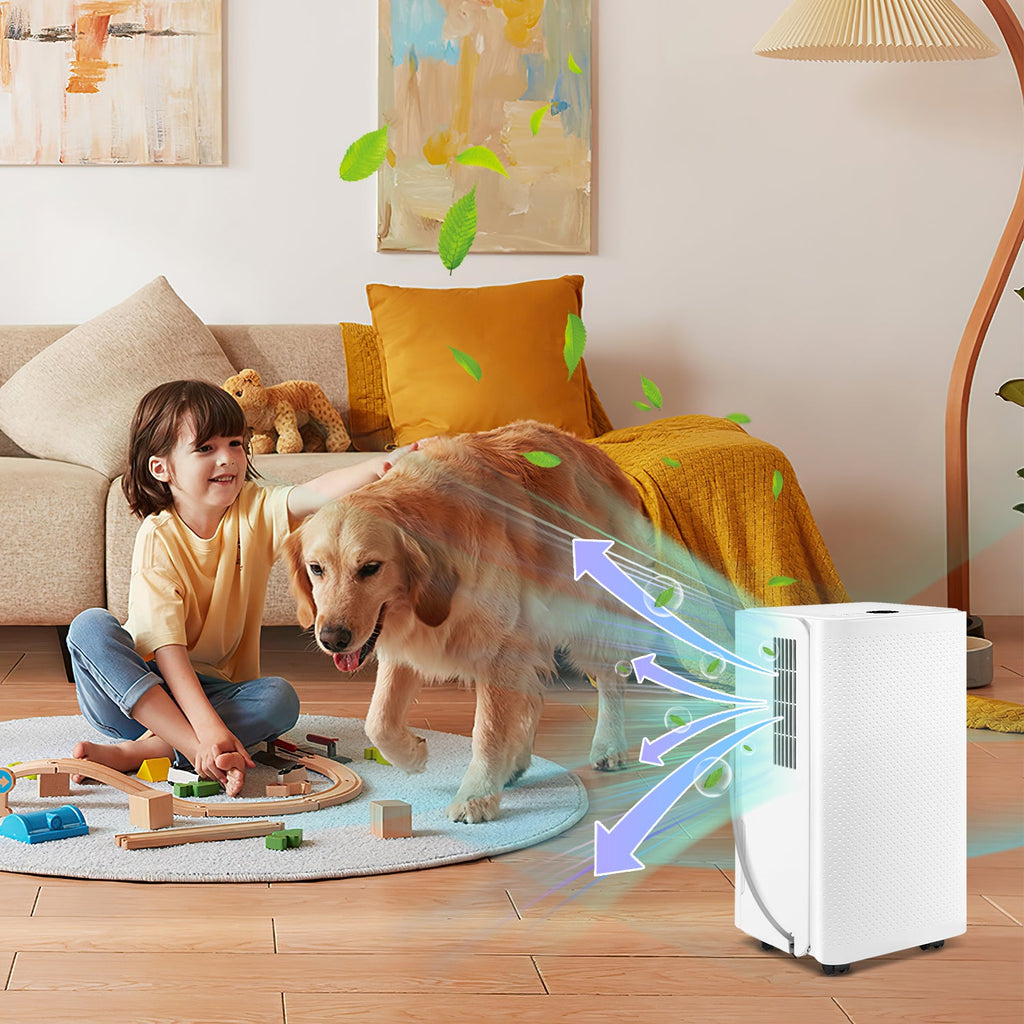 Cosmo Go Luftentfeuchter 16L mit Timerfunktion, Wäschetrockungsfunktion, Abtaufunktion