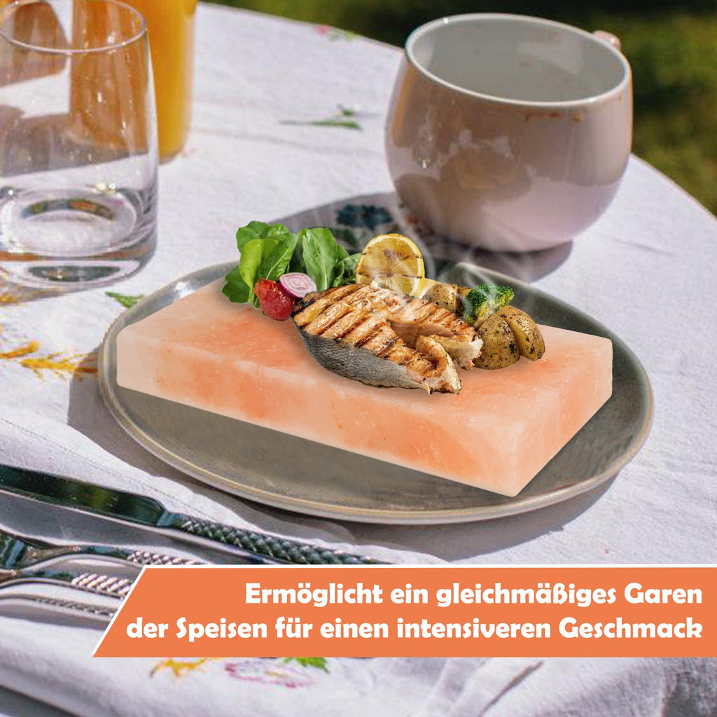 Cosmo Go Grill Salzstein BBQ 20x10x2.5CM 2er Set