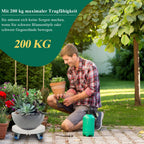 Cosmo Go Pflanzenroller mit Rollen Tragkraft 200 kg