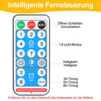 Cosmo Go Solar Lichterkette mit Fernbedienung 30m-100m