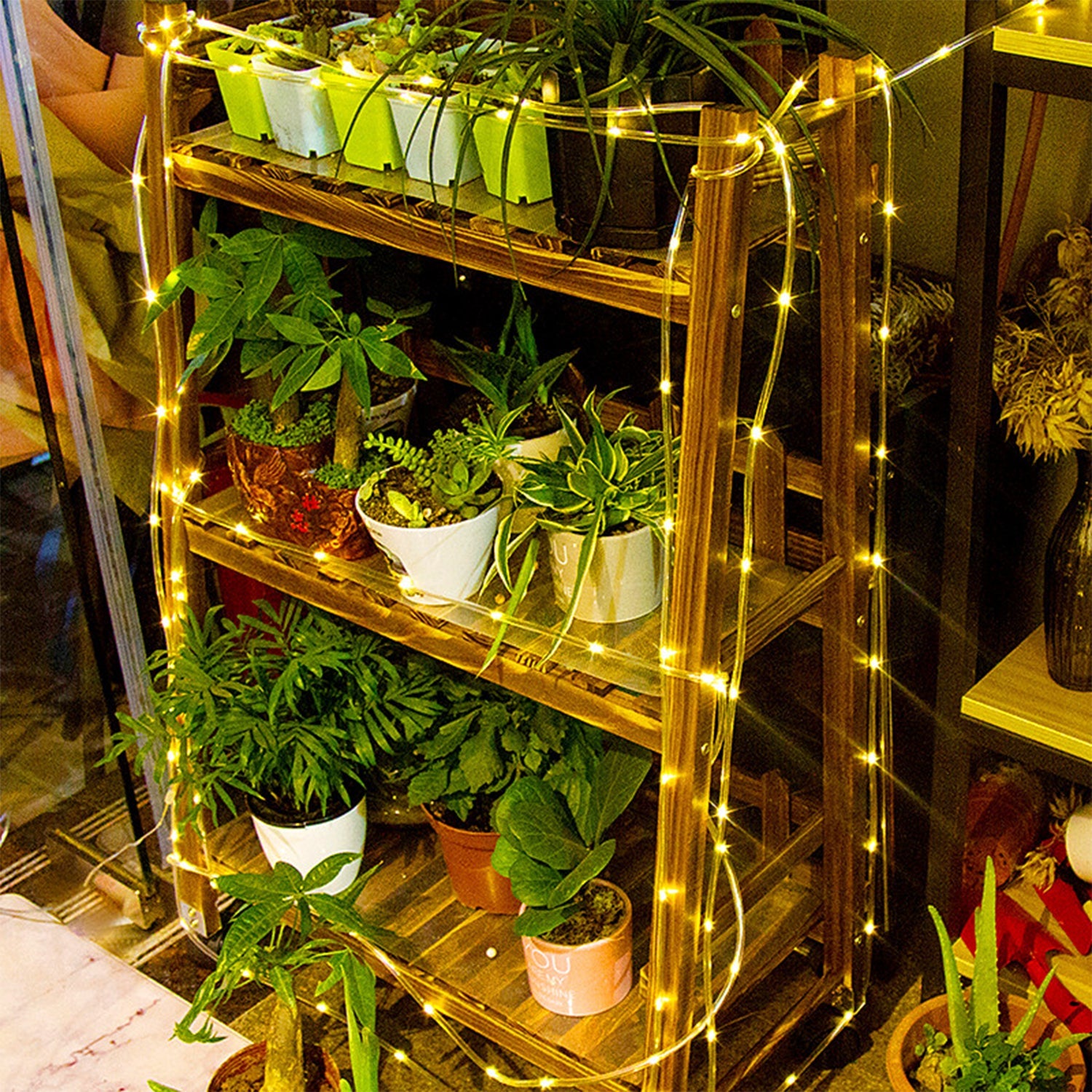 Cosmo Go LED Lichterschlauch Aussen mit Fernbedienung und Timer
