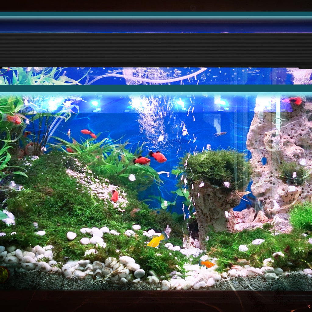 Cosmo Go LED Aquarium Beleuchtung Weiß Blau Licht