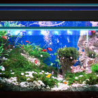 Cosmo Go LED Aquarium Beleuchtung Weiß Blau Licht