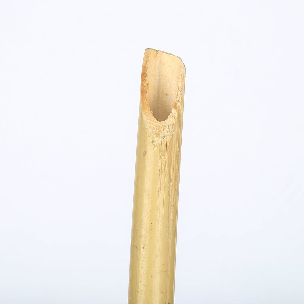 Cosmo Go 12er Set Gartenfackeln mit Docht