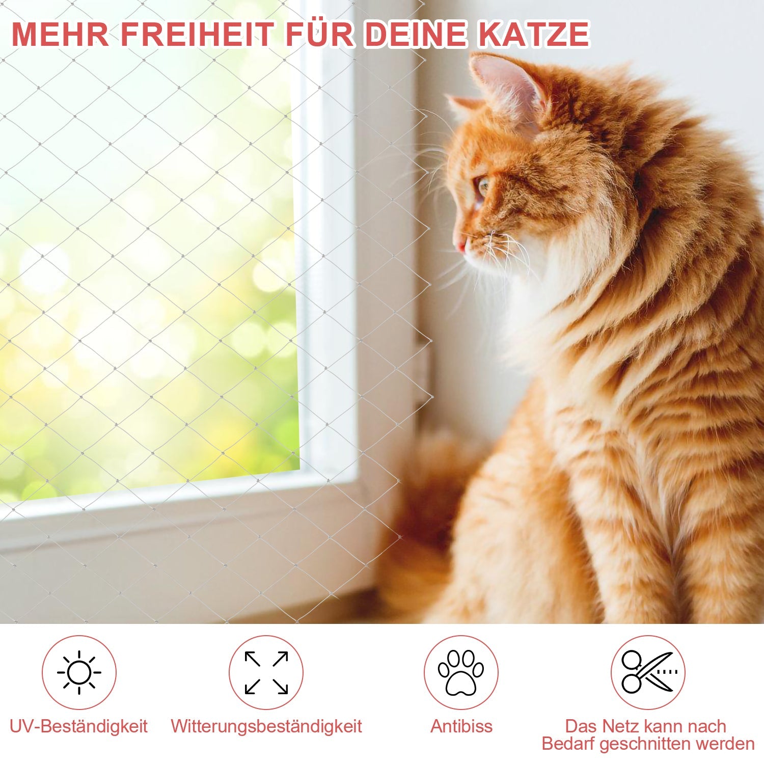 Cosmo Go Katzennetz Balkonnetz Sicherheitsnetz 3x8m