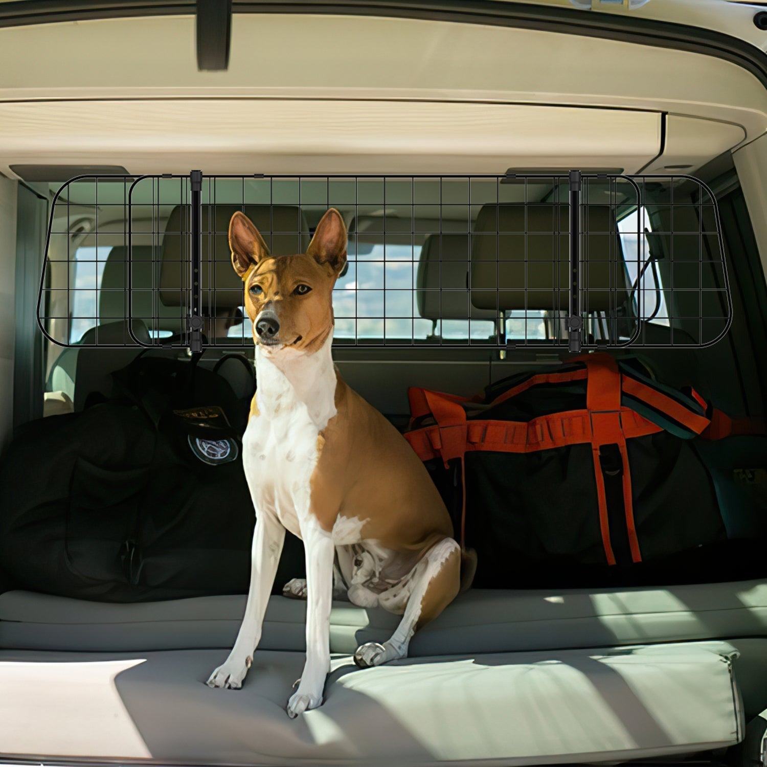 Cosmo Go Hundegitter Auto Trenngitter universell 30cm Höhe