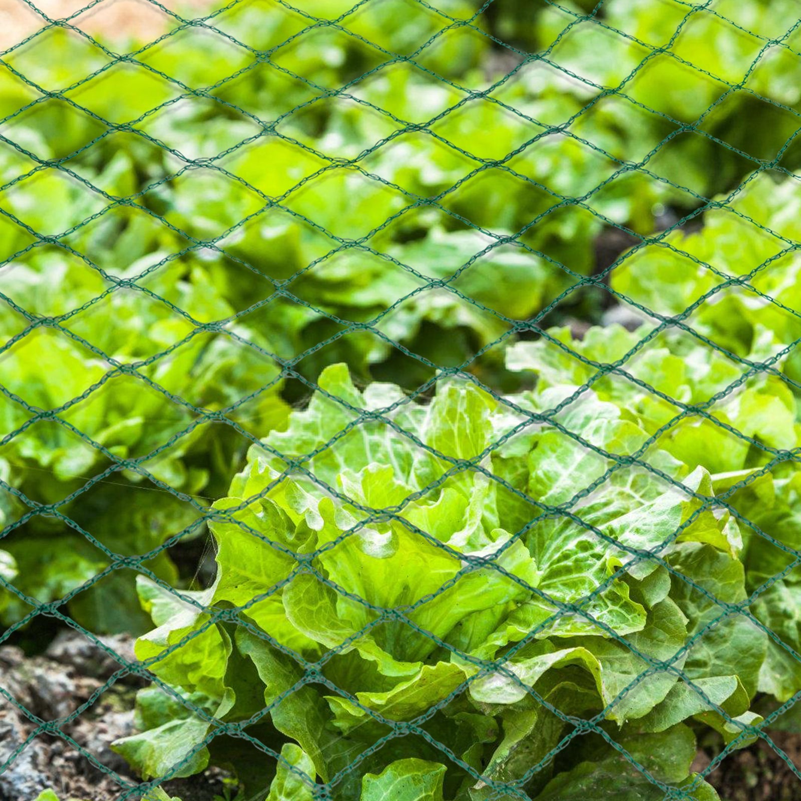 Cosmo Go Teichnetz Vogel Reihernetz