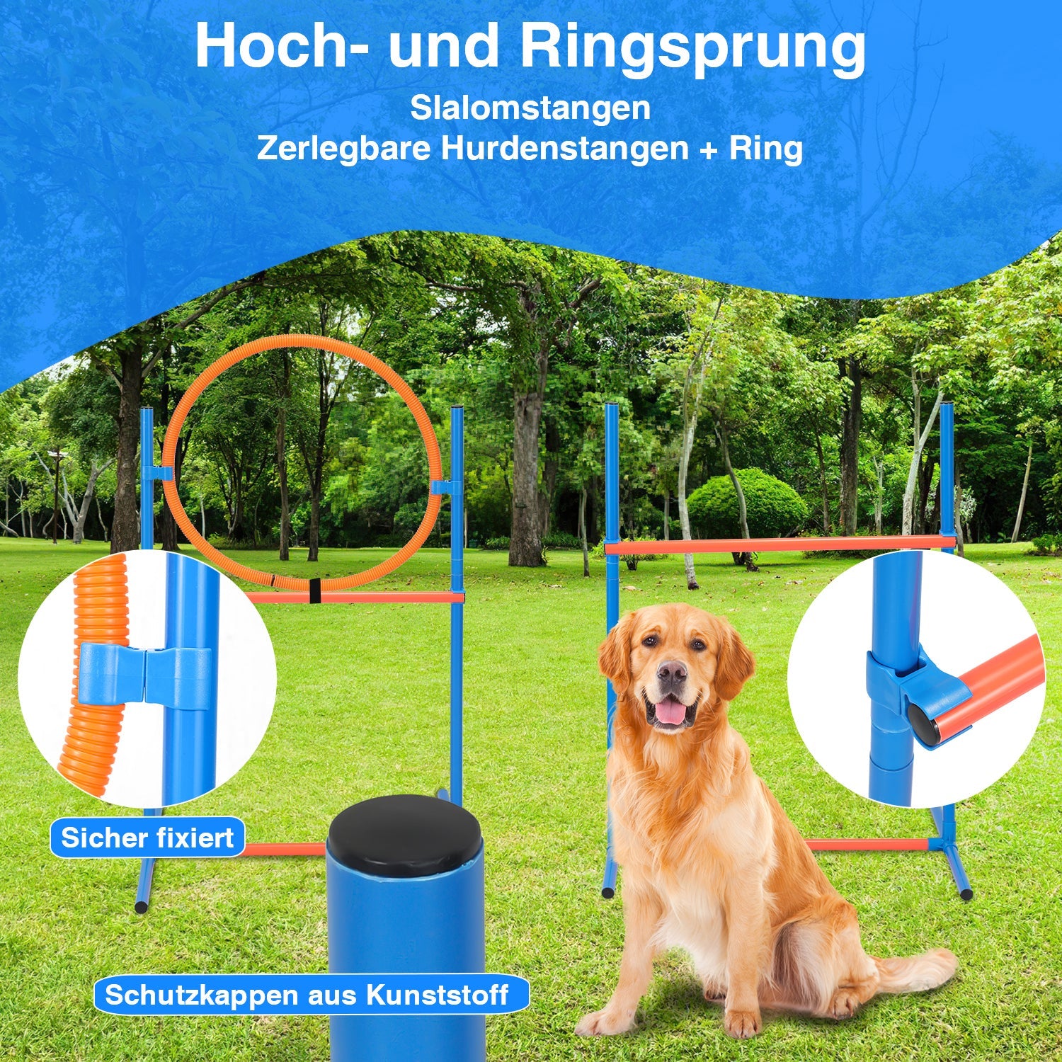 Cosmo Go Agility Set Hunde Hundetraining zubehör für Hunde
