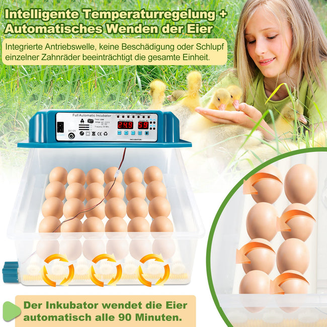 Cosmo Go Brutautomat Vollautomatisch Inkubator für Hühner 36 Eier Main Image