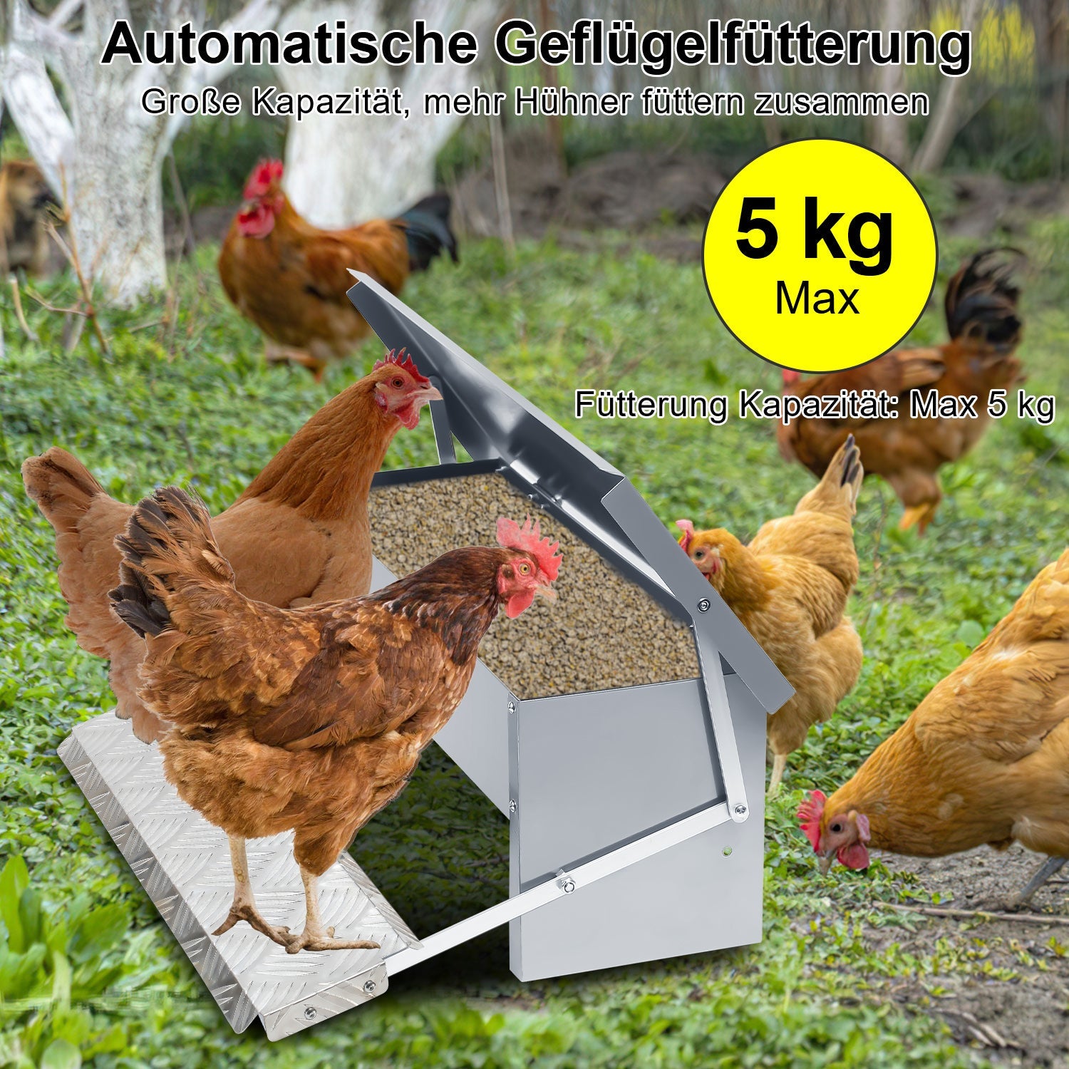 Cosmo Go Futterautomat für hühner Fußpedal selbstöffnender 5kg