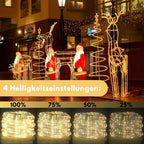 Cosmo Go LED Lichterschlauch Aussen mit Fernbedienung und Timer