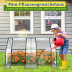 Cosmo Go Gewächshaus Tomatengewächshaus Treibhaus