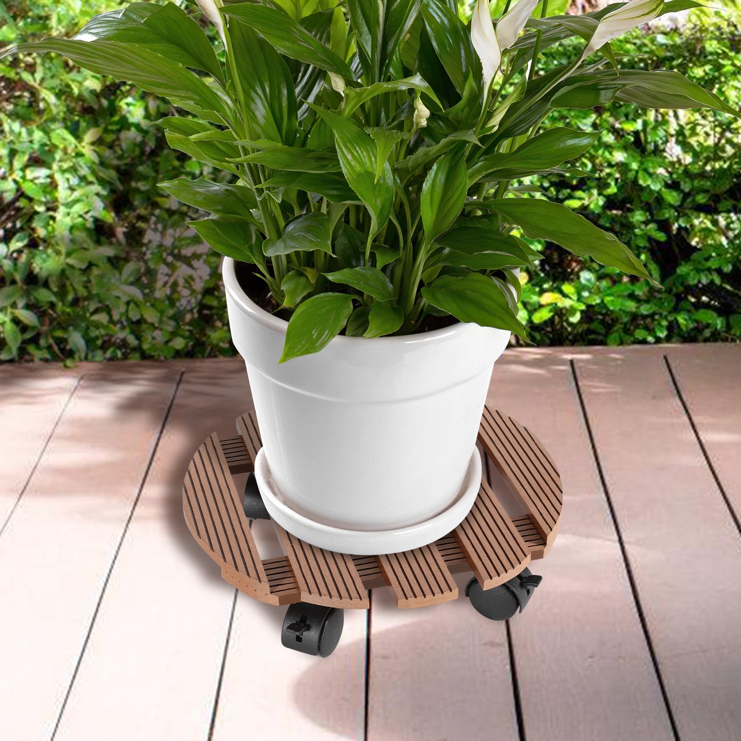 Cosmo Go WPC Pflanzenroller Rund mit Rollen Tragkraft 80 kg