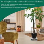 Cosmo Go Pflanzenroller mit Rollen Tragkraft 200 kg
