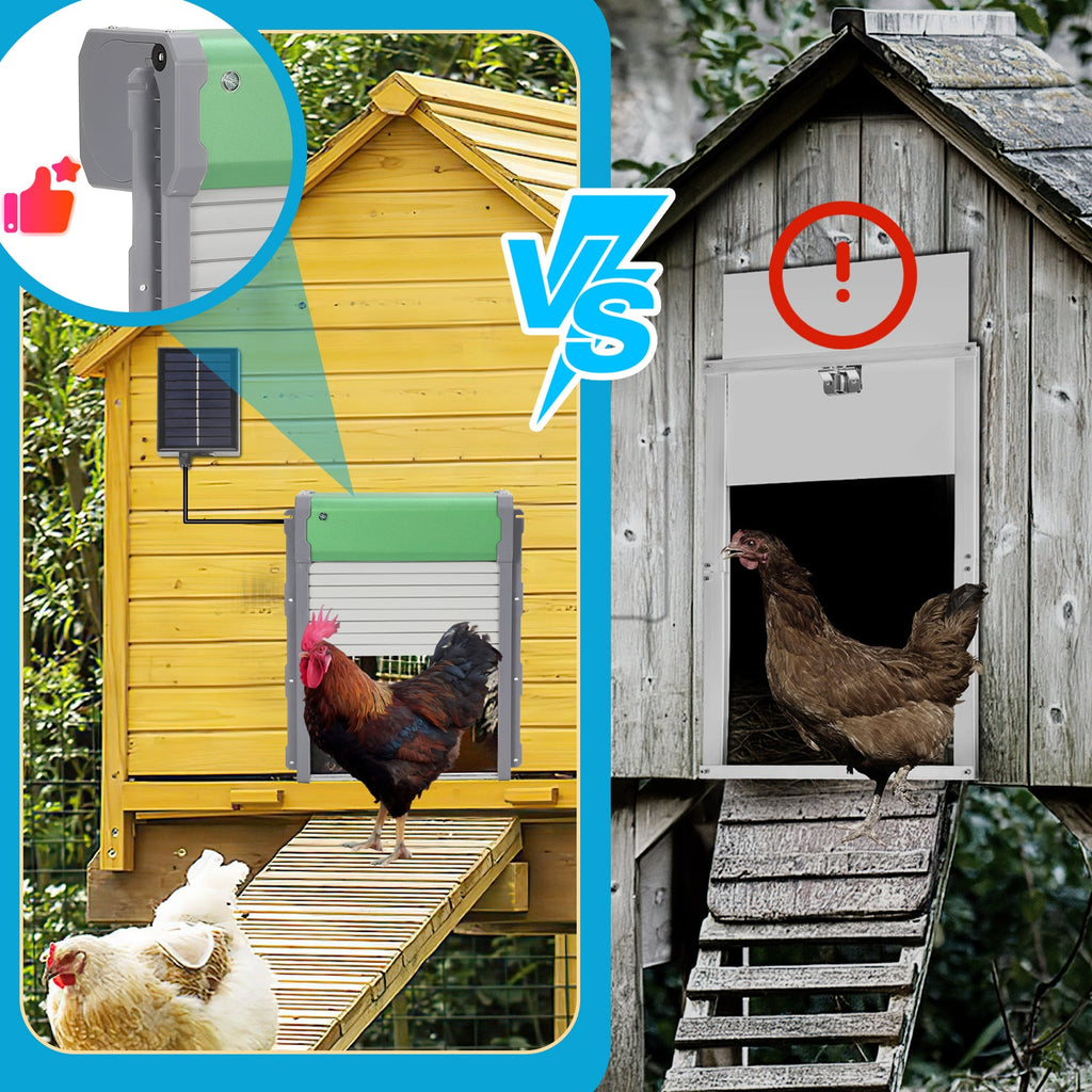 Cosmo Go Automatische Hühnerklappe Solar Rolltor mit Lichtsensor und Zeitsteuerung