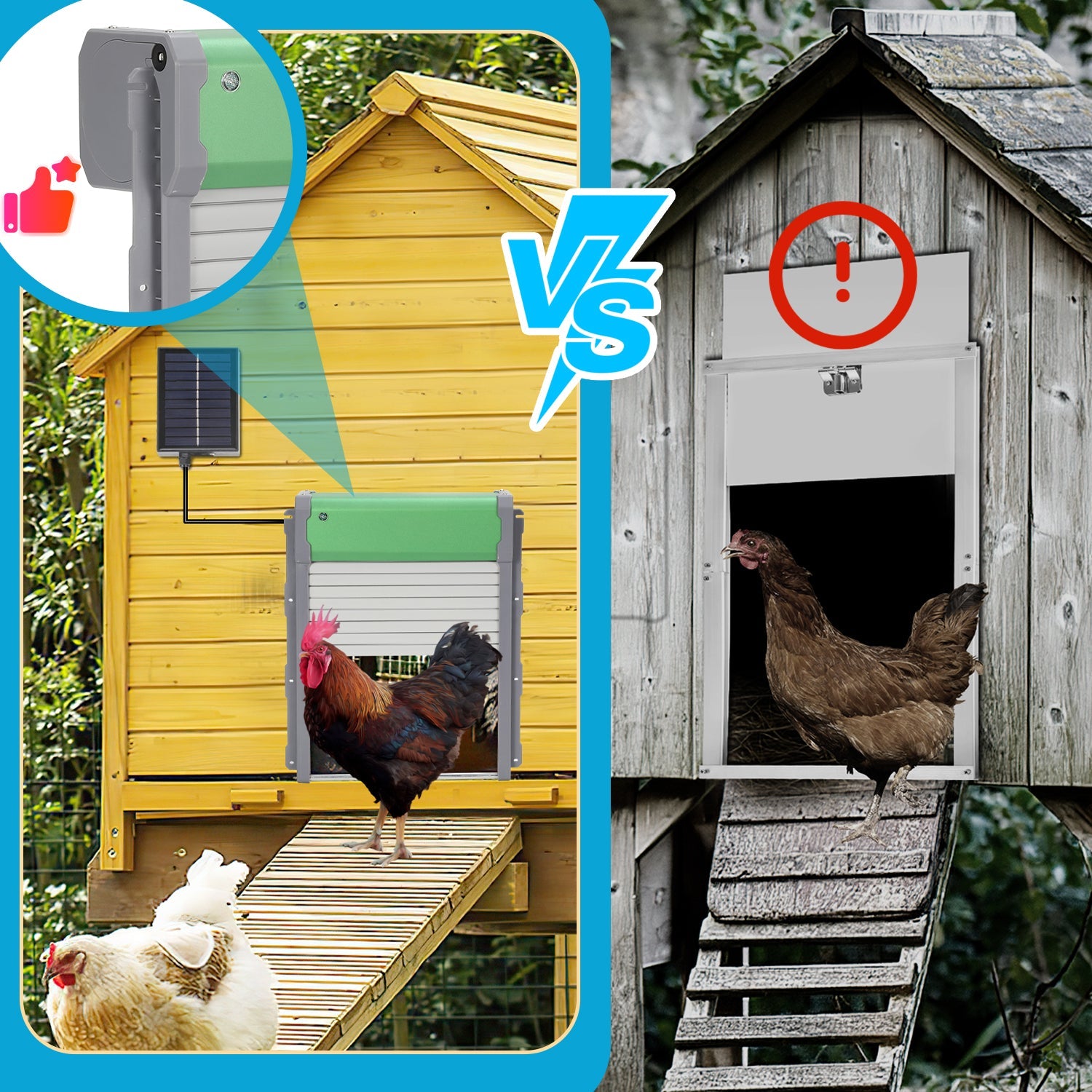 Cosmo Go Automatische Hühnerklappe Solar Rolltor mit Lichtsensor und Zeitsteuerung