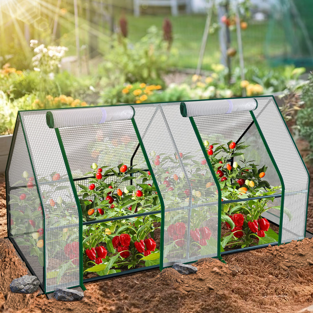 Cosmo Go Gewächshaus Tomatengewächshaus Treibhaus