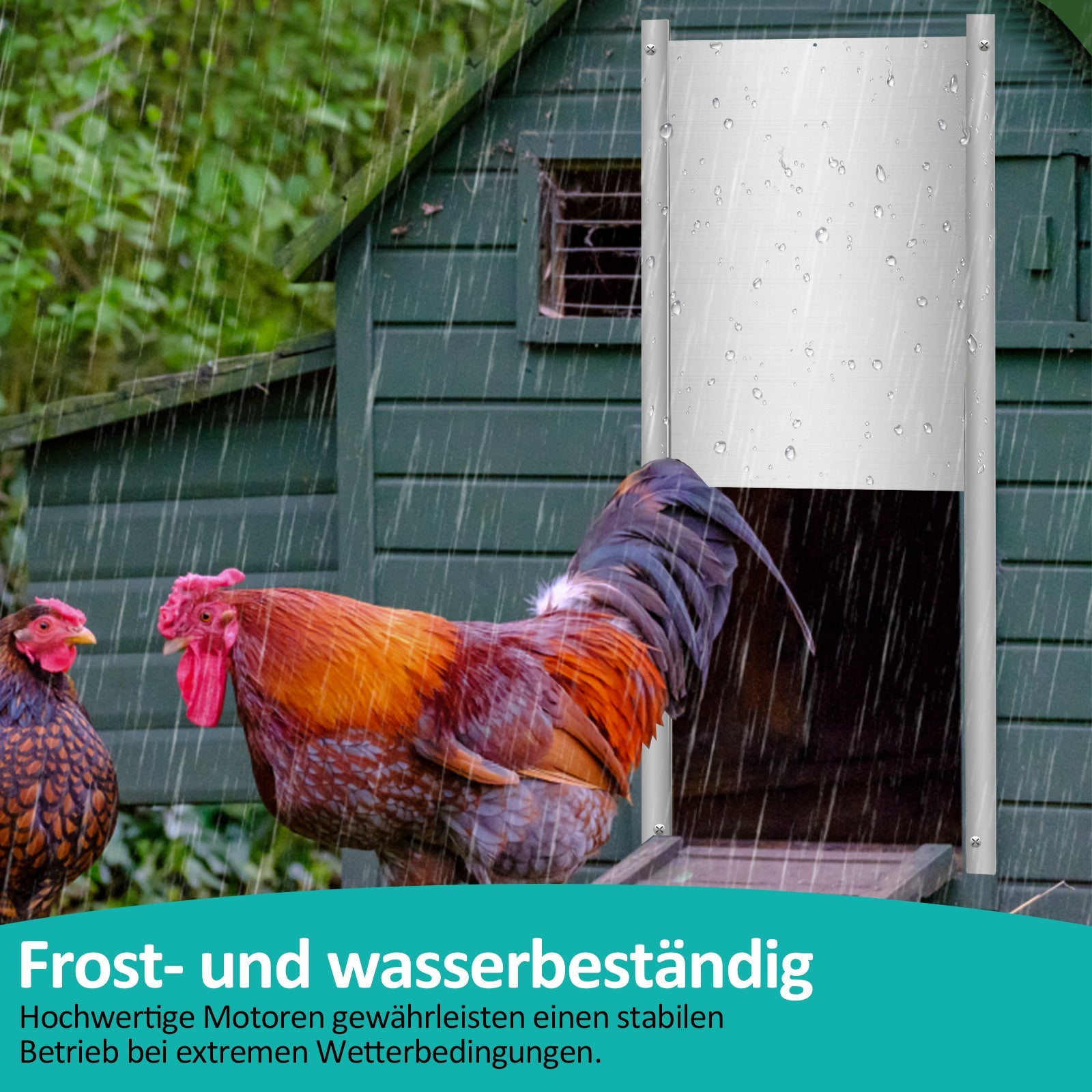 Cosmo Go Automatische Hühnertür mit Lichtsensor und Zeitsteuerung