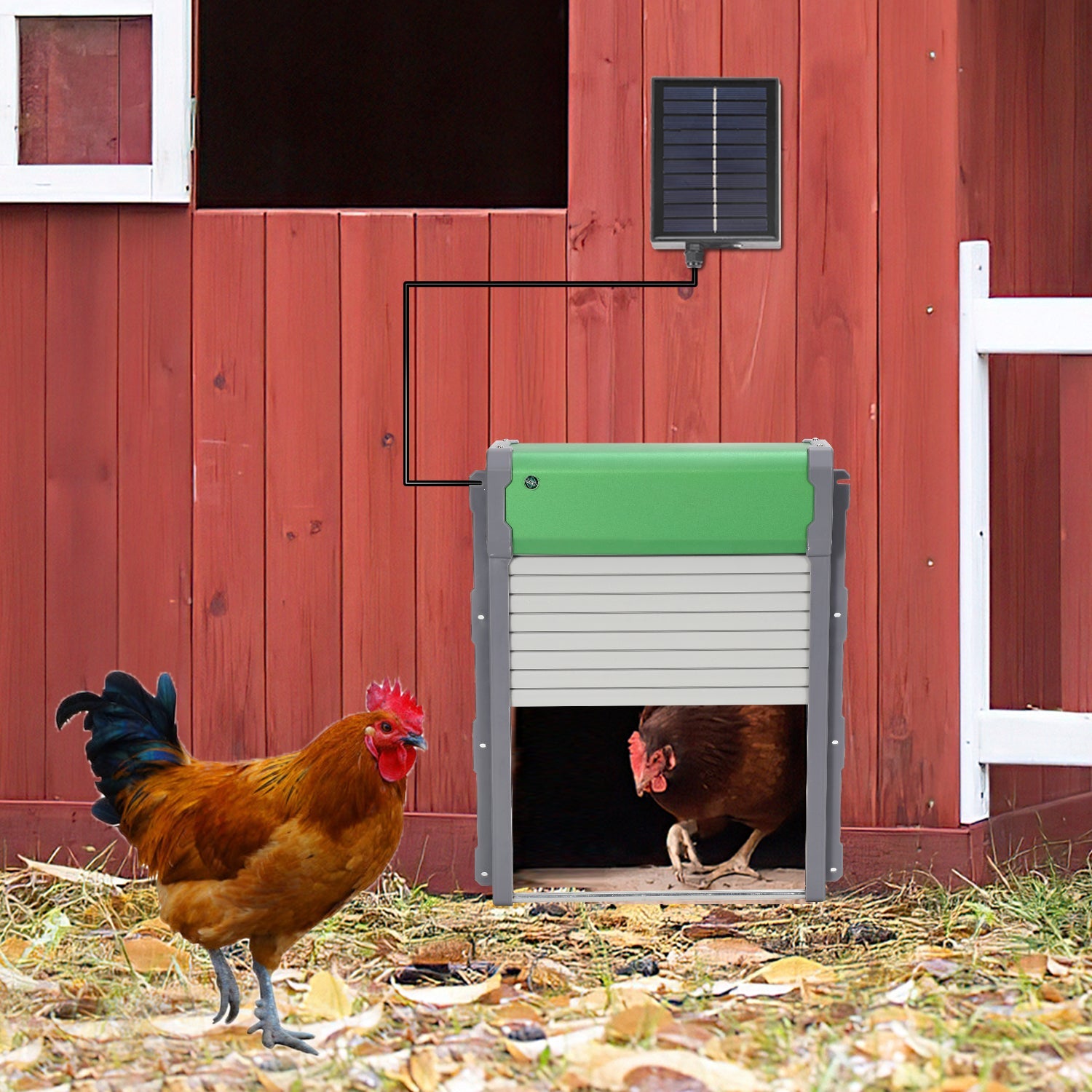 Cosmo Go Automatische Hühnerklappe Solar Rolltor mit Lichtsensor und Zeitsteuerung