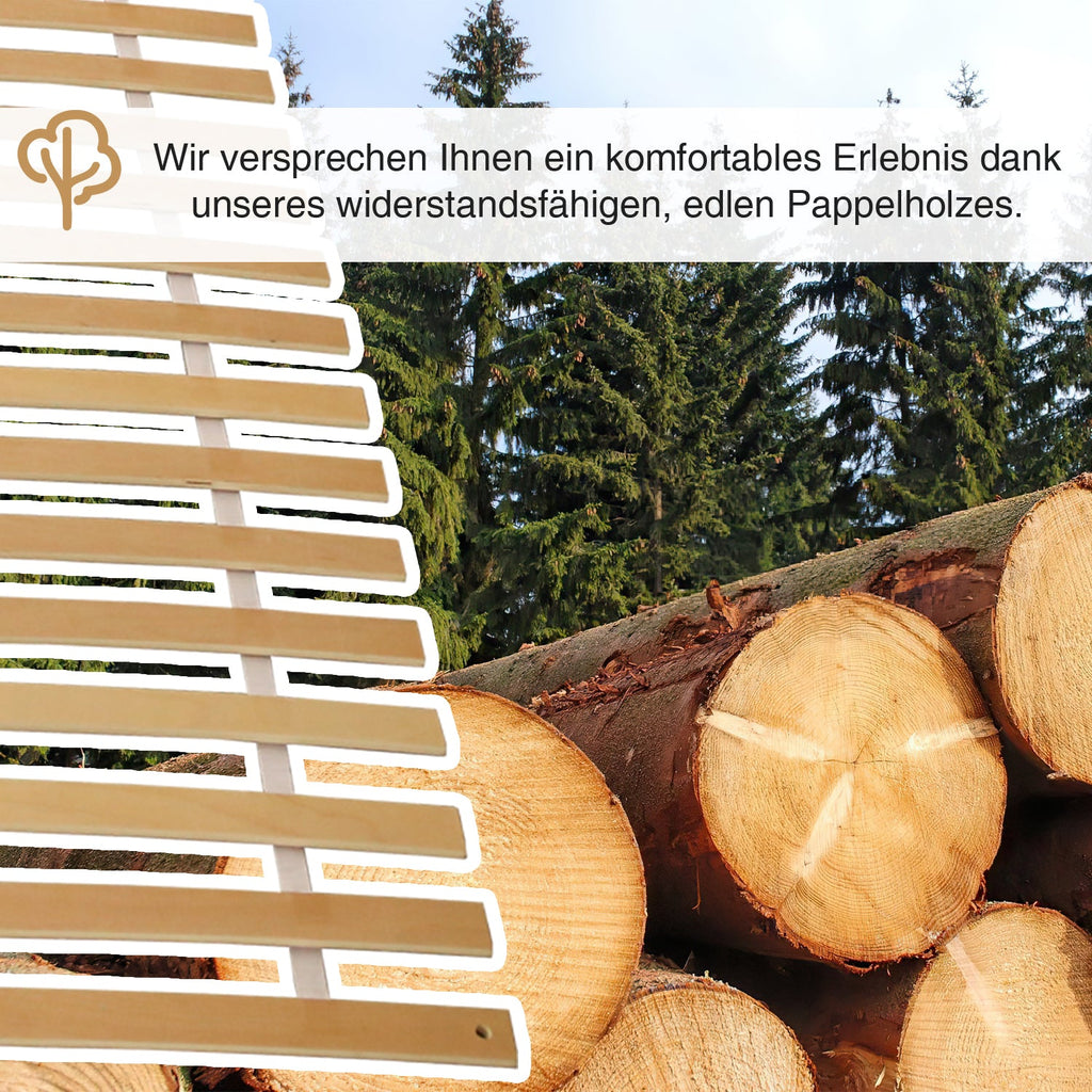 Cosmo Go Lattenrost 90x200cm Rolllattenrost