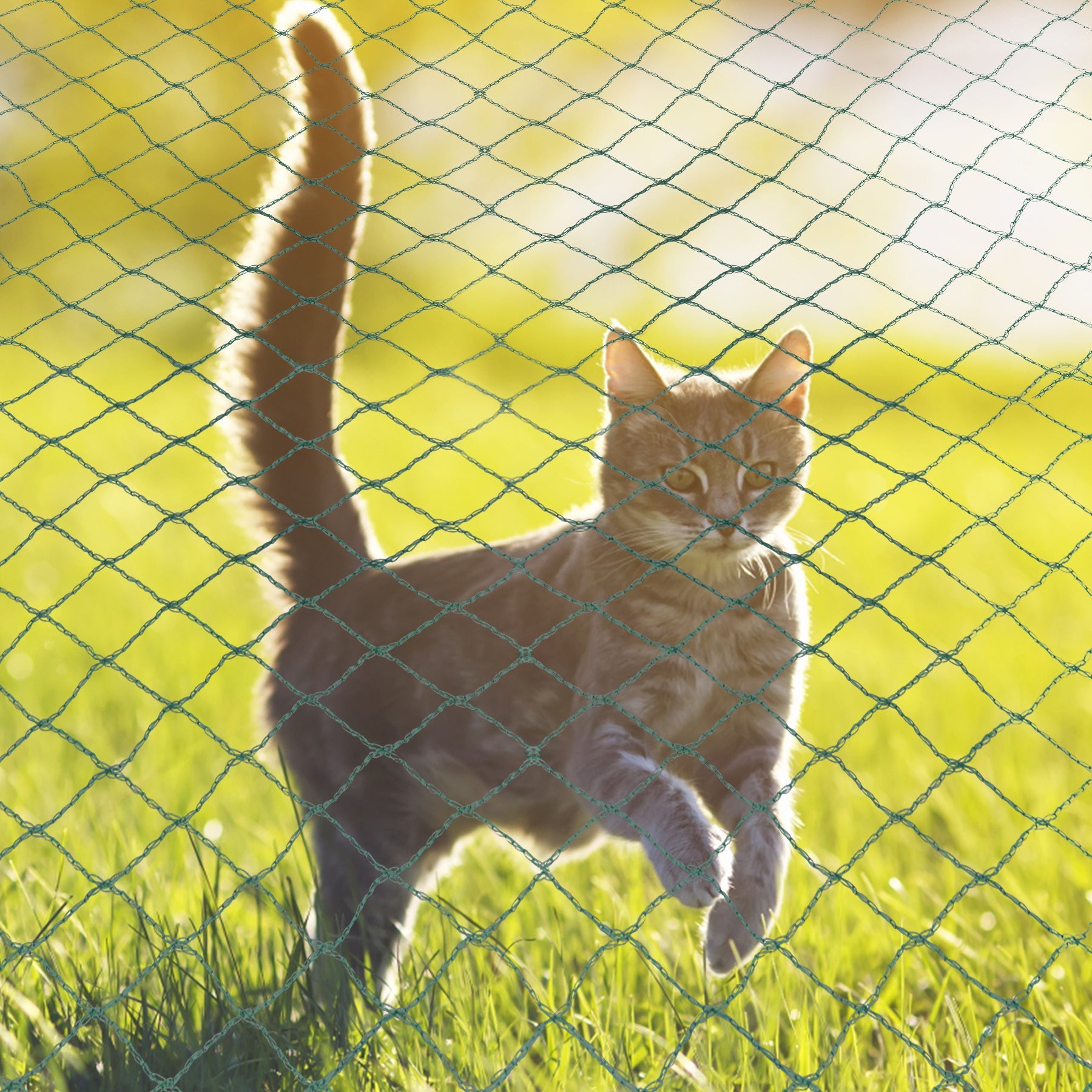 Cosmo Go Teichnetz Vogel Reihernetz