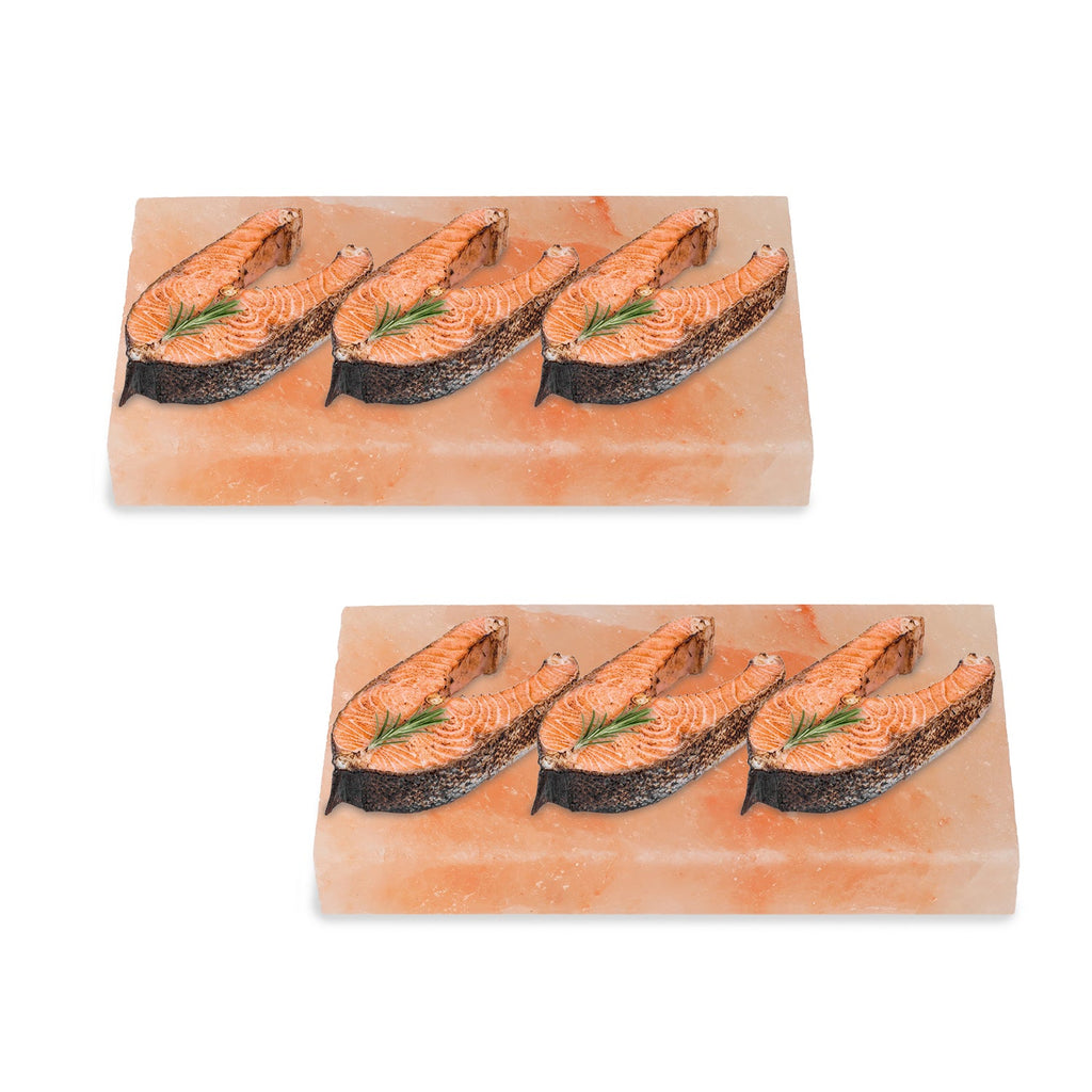 Cosmo Go Grill Salzstein BBQ 20x10x2.5CM 2er Set