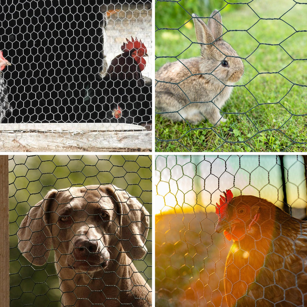 Cosmo Go Drahtzaun Metallgitterzaun Hasendraht Verzinkter