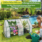 Cosmo Go Gewächshaus Tomatengewächshaus Treibhaus