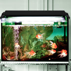 Cosmo Go LED Aquarium Beleuchtung Weiß Blau Licht