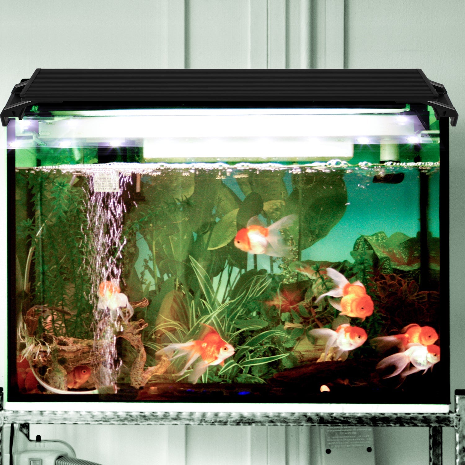 Cosmo Go LED Aquarium Beleuchtung Weiß Blau Licht