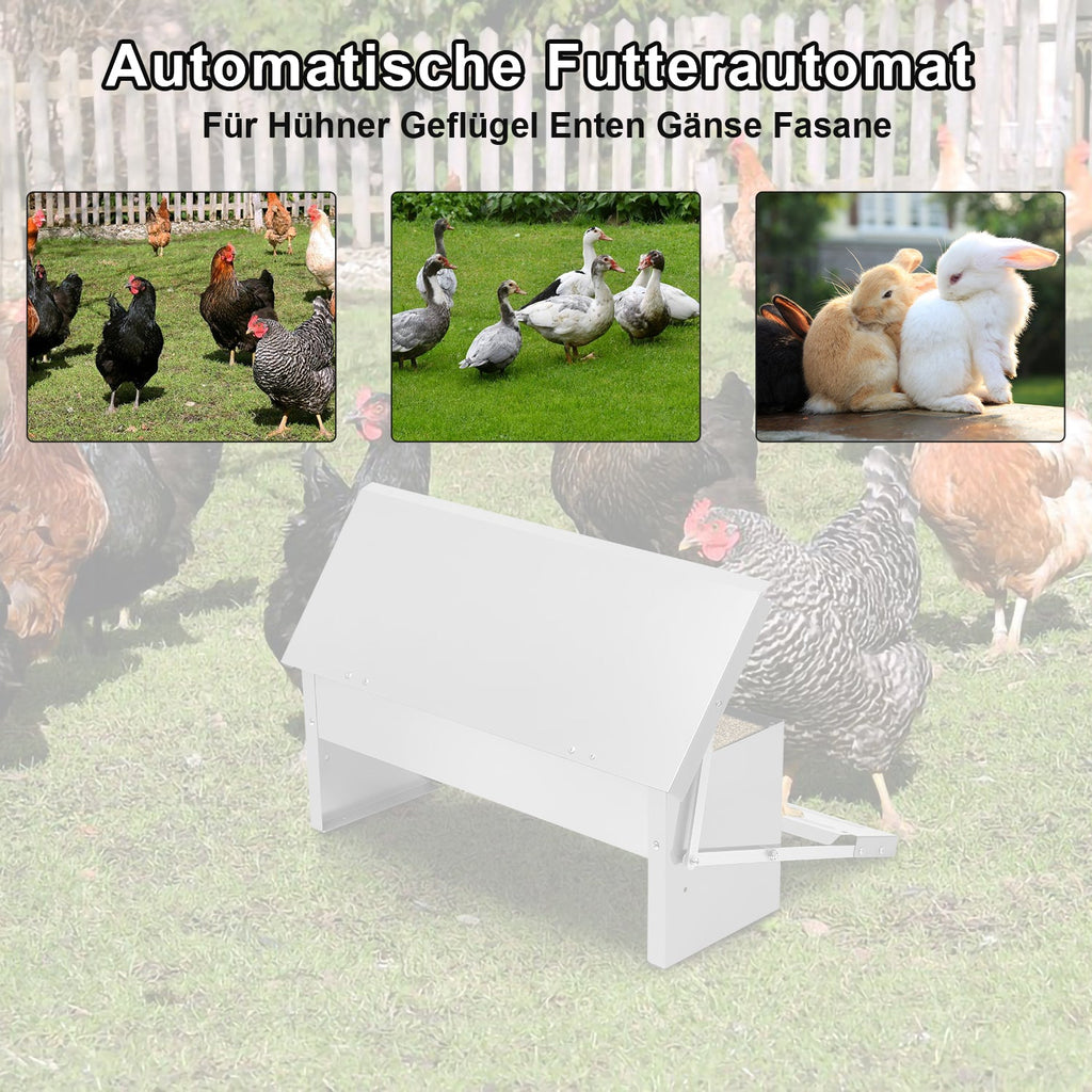 Cosmo Go Futterautomat Hühner Futterspender 5kg