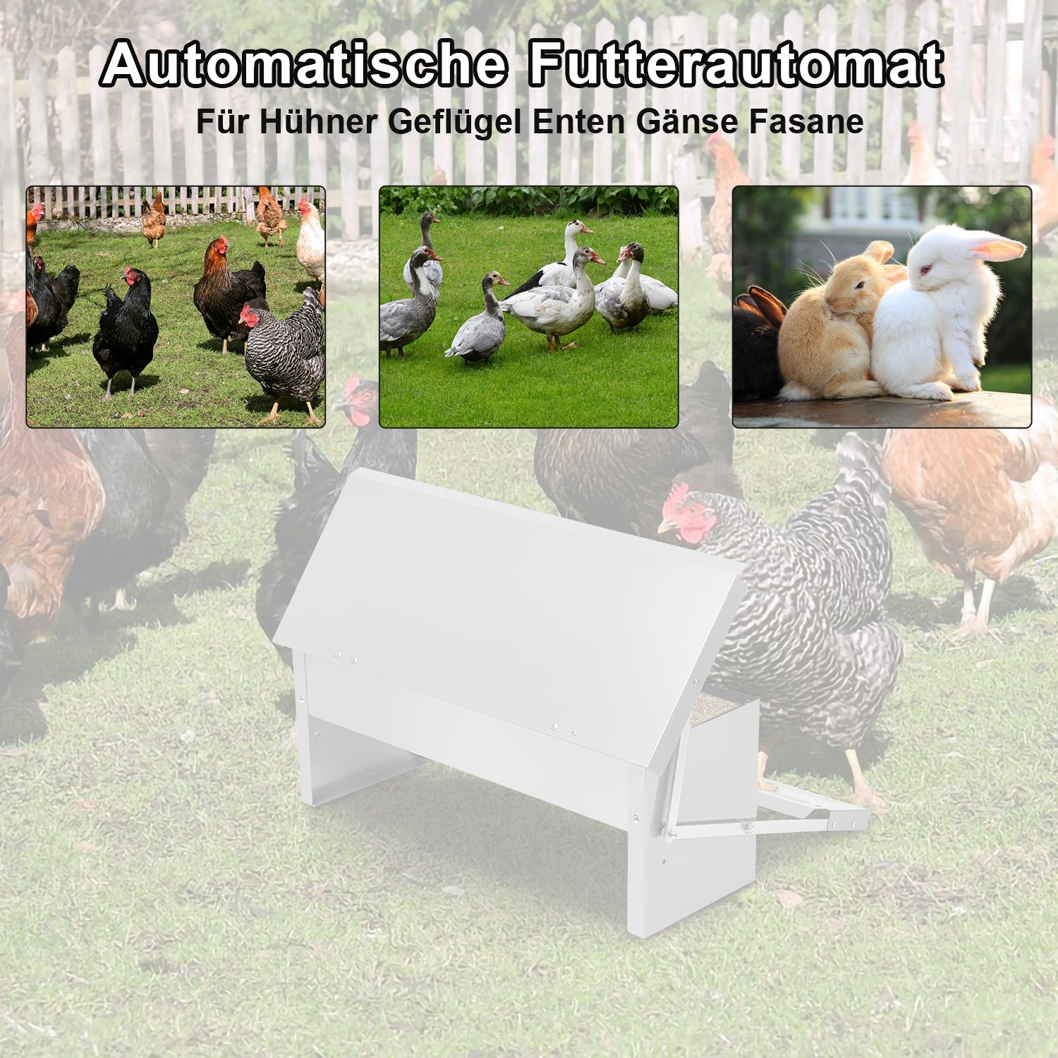 Cosmo Go Futterautomat Hühner Futterspender 5kg