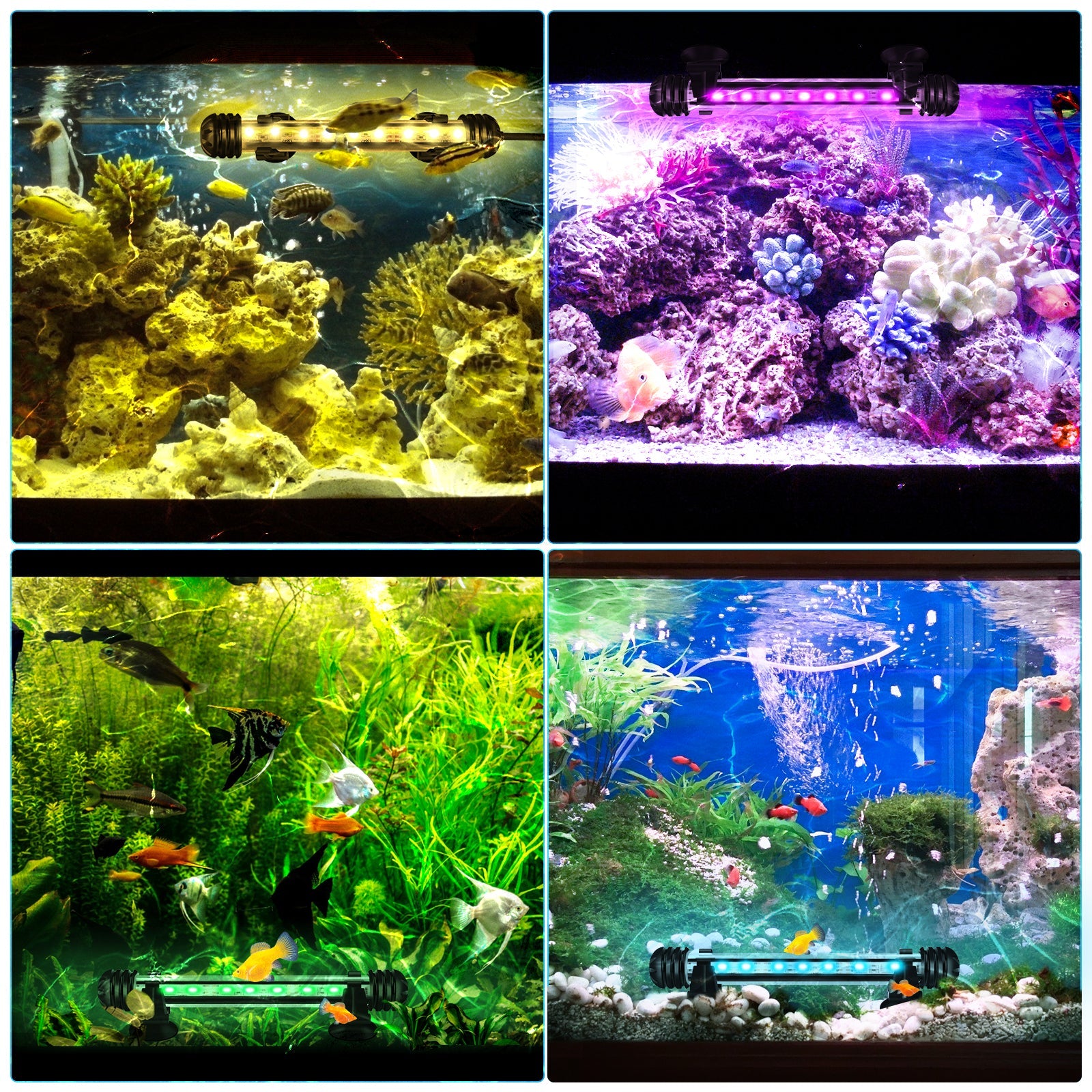 Cosmo Go LED Aquarium Beleuchtung RGB Wasserdicht
