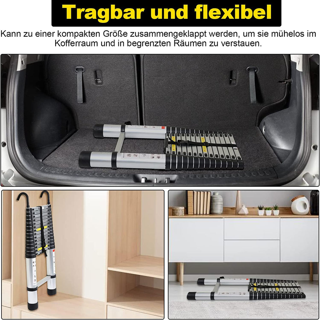 Cosmo Go Teleskopleiter mit 2 Abnehmbarem Haken