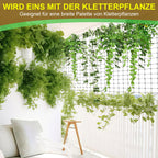 Cosmo Go Rankhilfe Edelstahl für Kletterpflanzen 12m