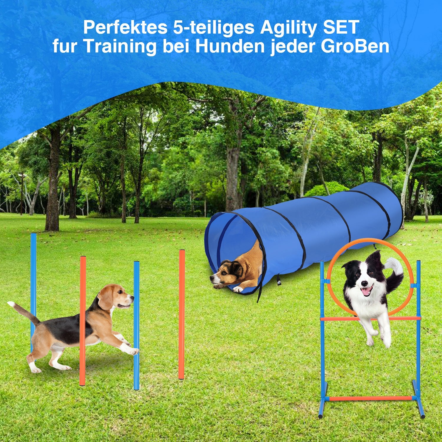 Cosmo Go Agility Set Hunde Hundetraining zubehör für Hunde