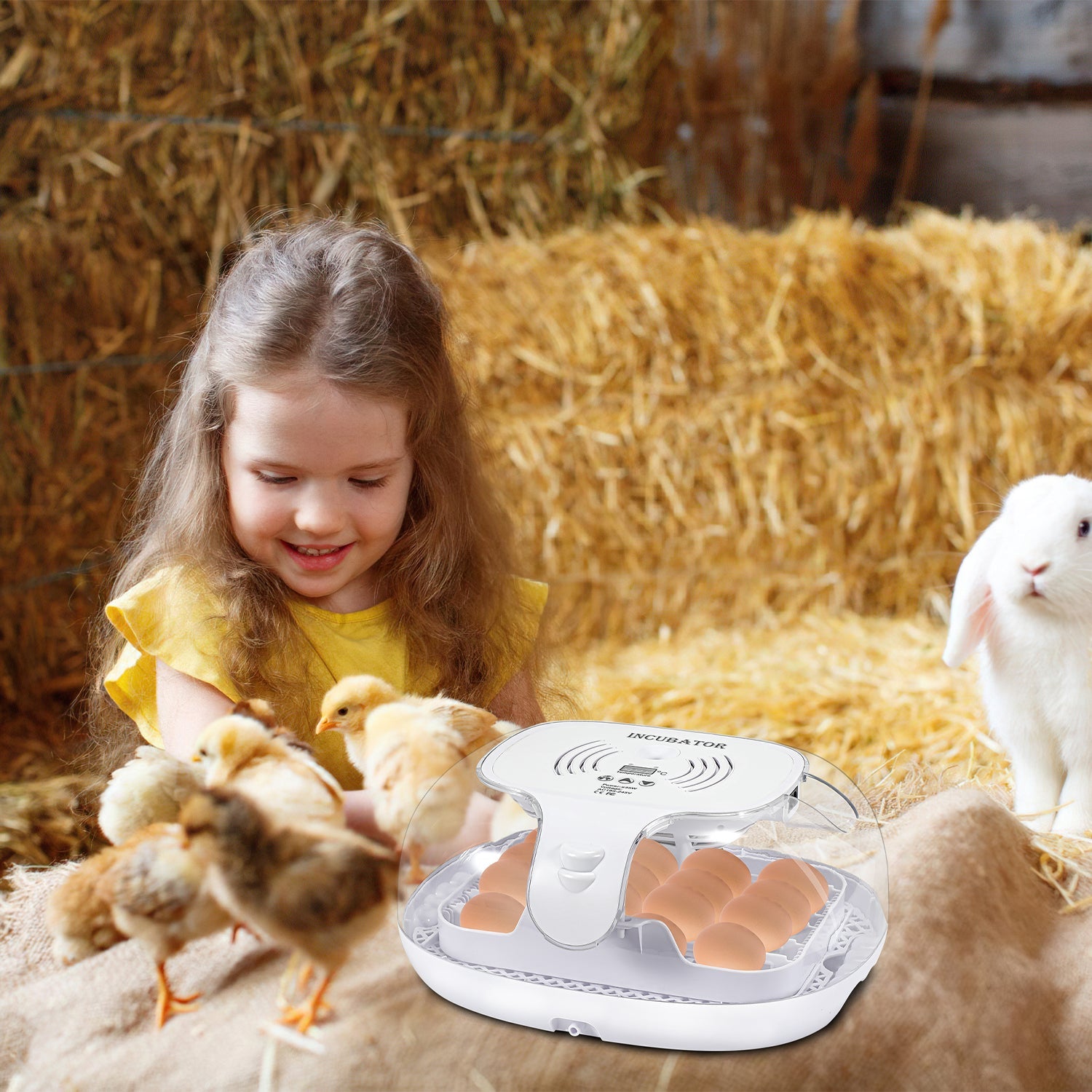 Cosmo Go Brutautomat Vollautomatisch Inkubator für Hühner 16 Eier