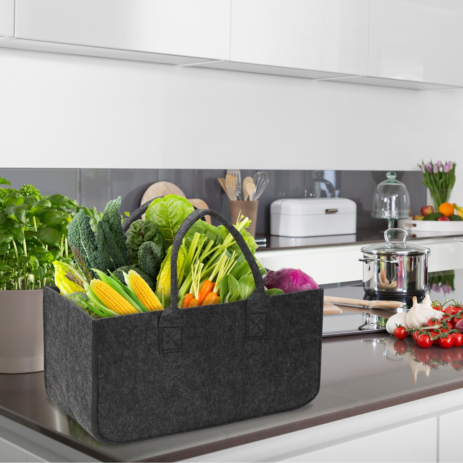 Cosmo Go 2x Filztasche Kaminholztasche Brennholzkorb Faltbar 30L