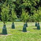 Cosmo Go Bewässerungsbeutel 75L 5/10 Stück