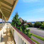 Cosmo Go Vogelspikes Taubenspikes Kunststoff 12 Stück