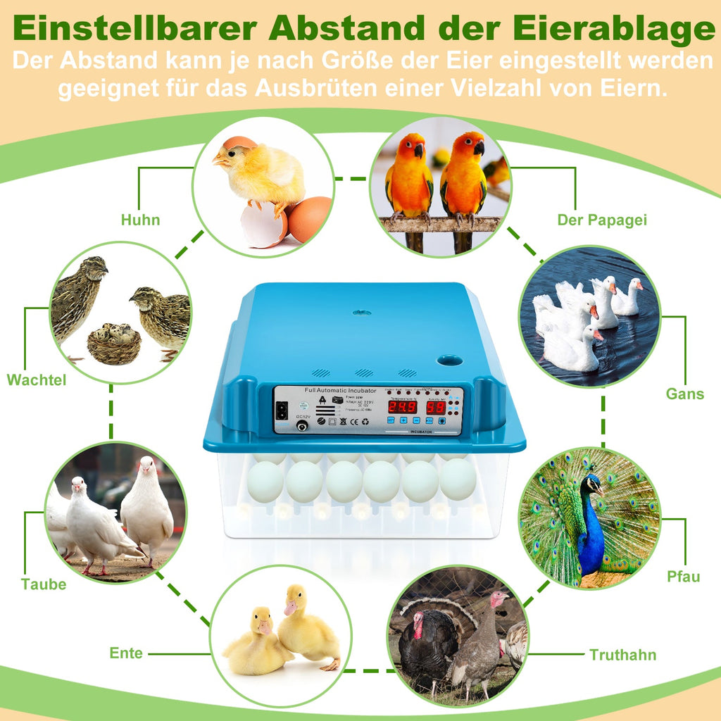 Cosmo Go Brutautomat Vollautomatisch Inkubator für Hühner 36 Eier