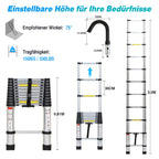 Cosmo Go Teleskopleiter mit 2 Abnehmbarem Haken