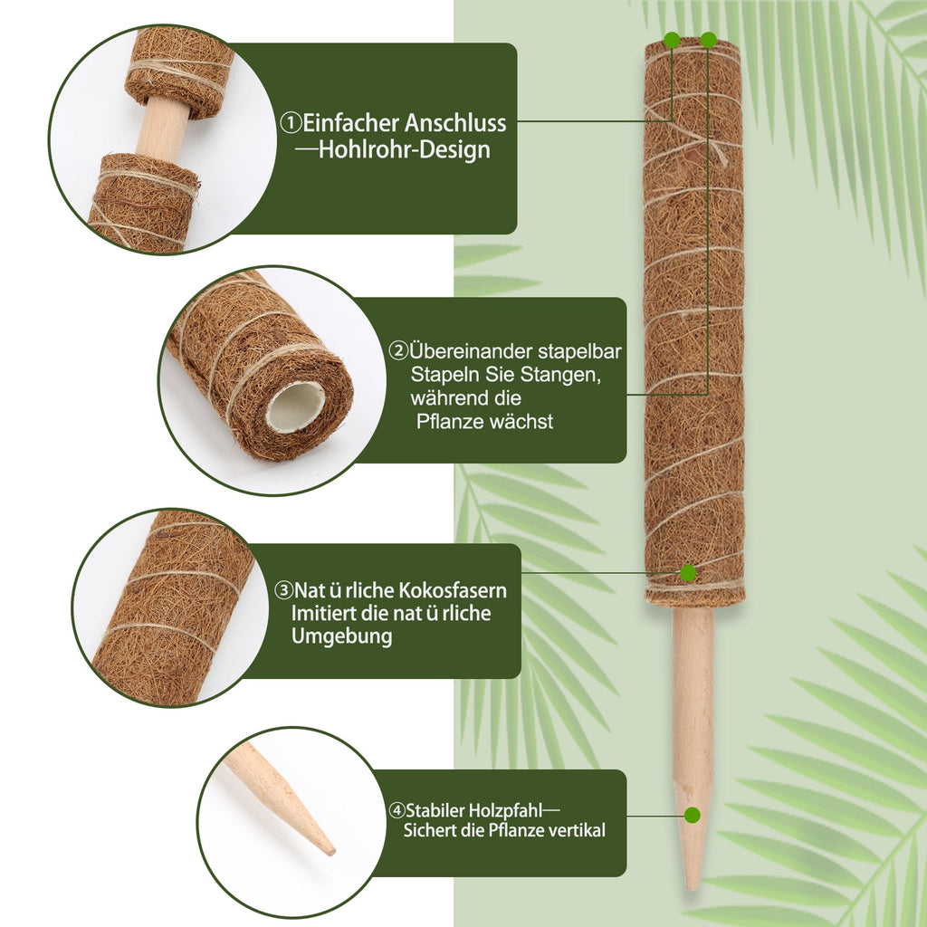 Cosmo Go Pflanzstab Kokos Monstera 2 Stück